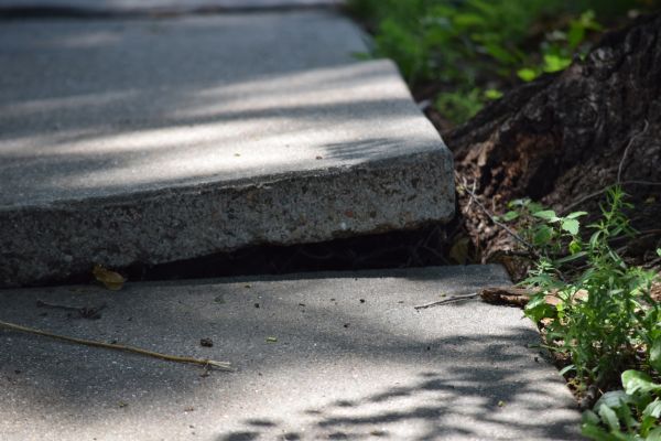 Sidewalk Leveling in Durham